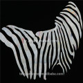 CANOSA beyaz seashell zebra duvar resmi metal çerçeve ile tasarım